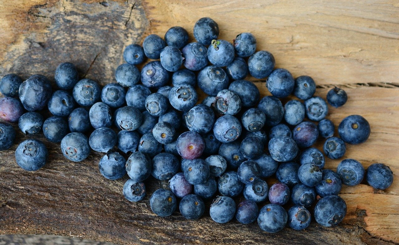 Blueberry Vanilla Scones - Well Rounded Guru